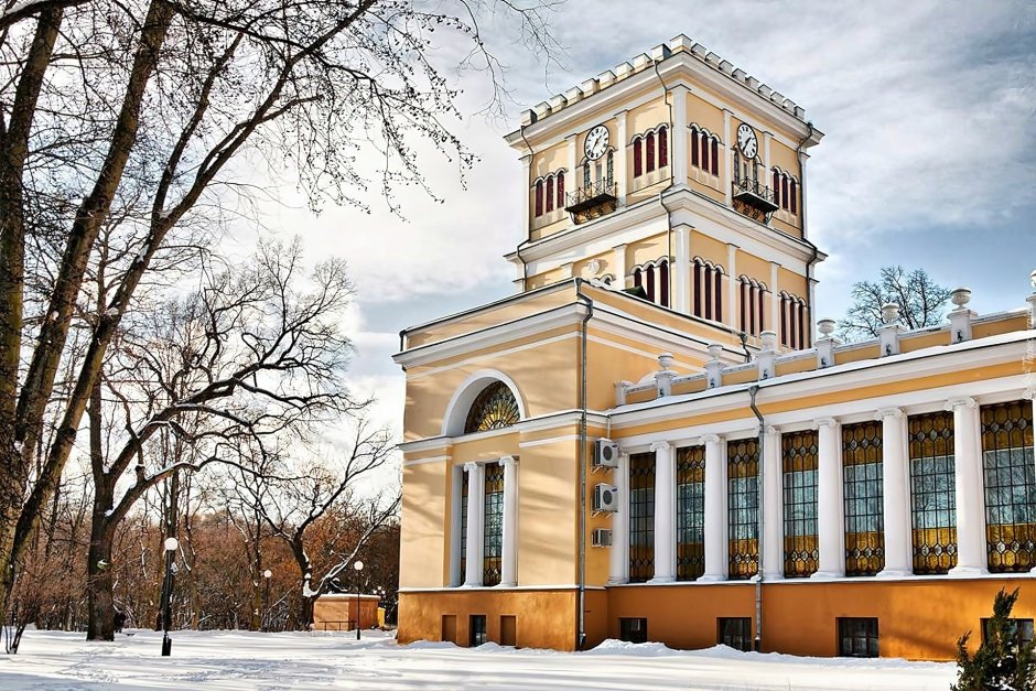 Дворец Румянцевых и Паскевичей в Гомеле внутри