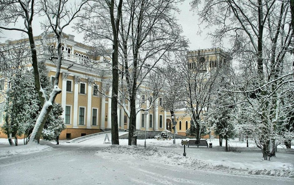 Гомель город