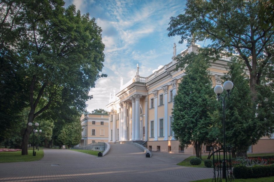 Дворец Румянцевых-Паскевичей интерьер