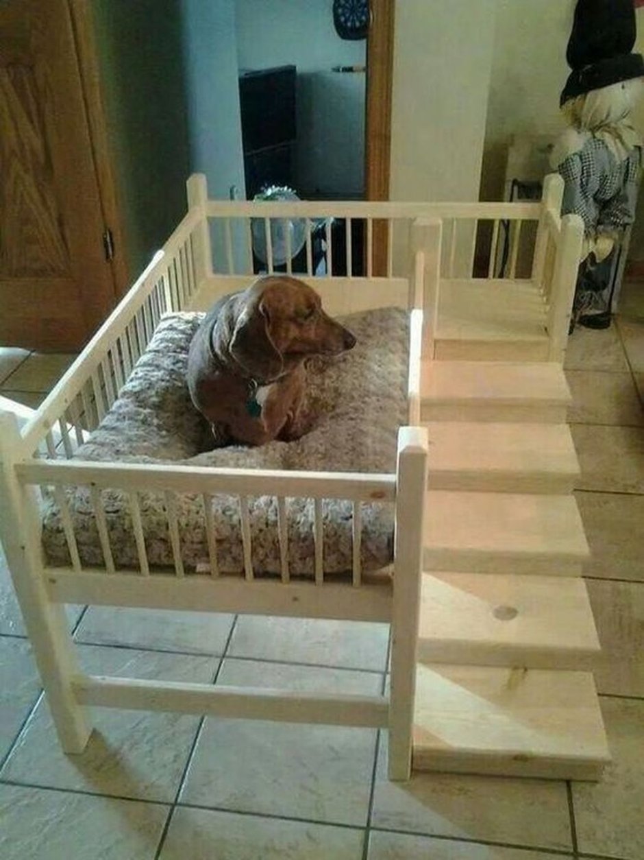 Кроватки для собак