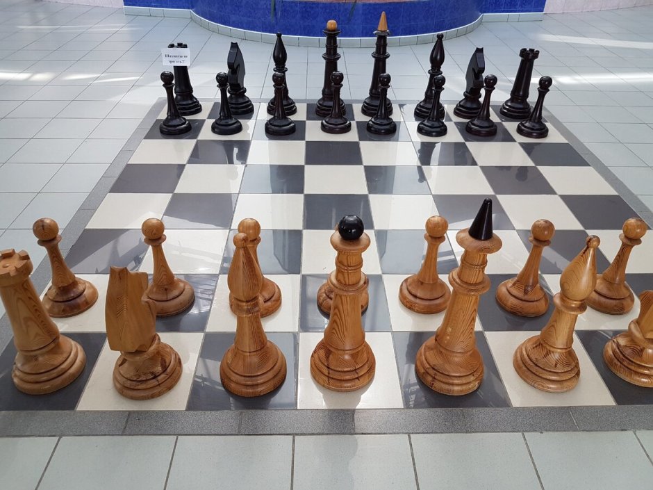 Сити Чесс Элиста