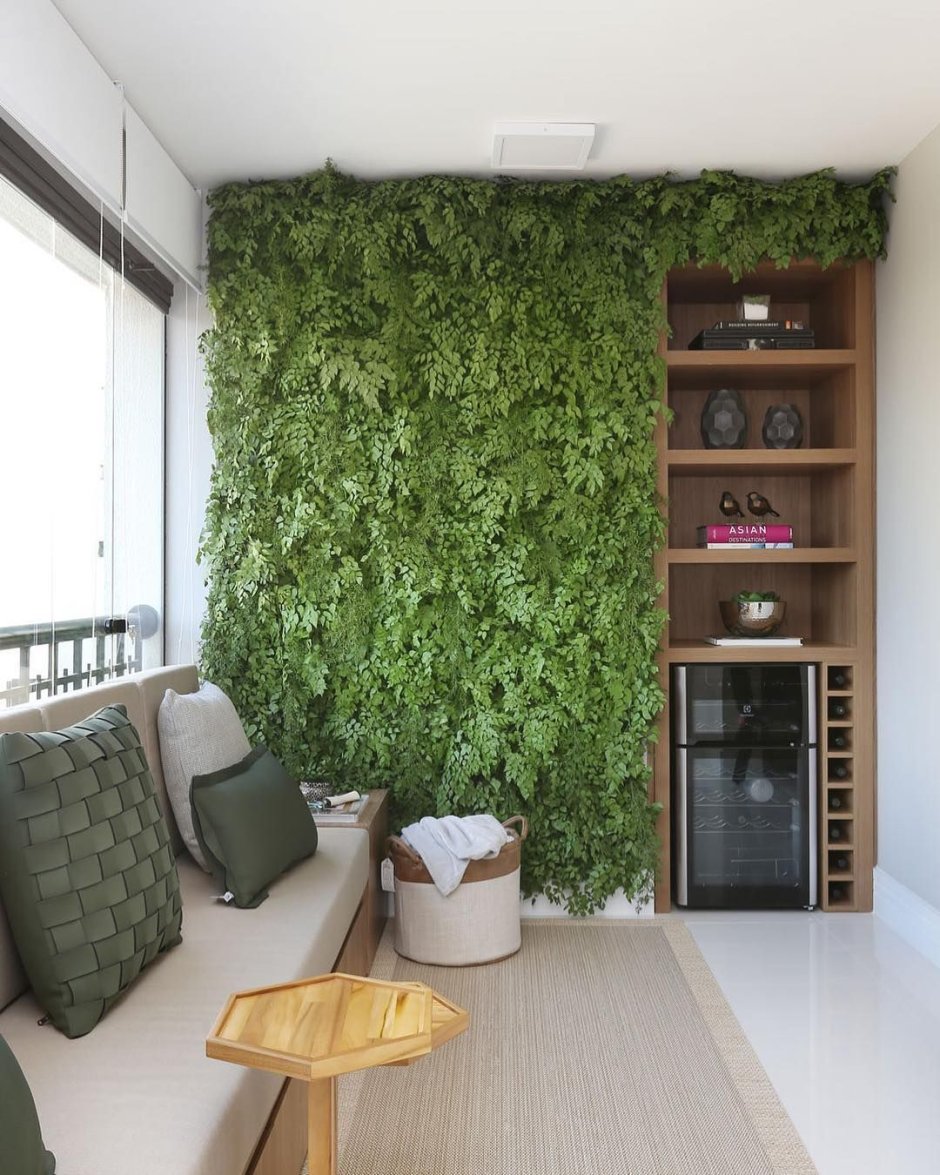 What Plants are suitable for the balcony Box?