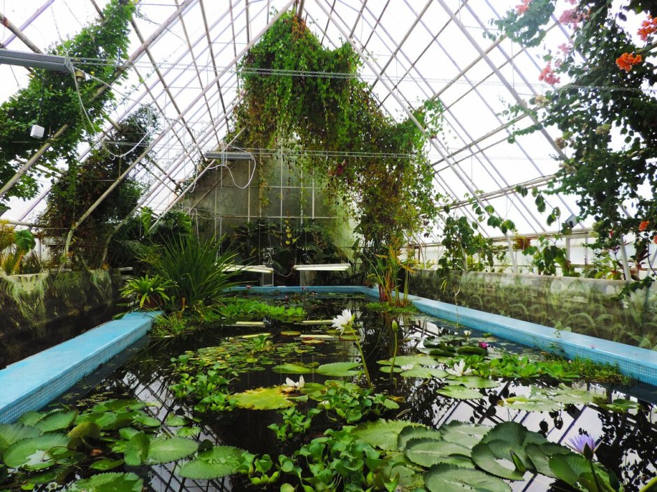 Ботанический сад Ставрополь оранжерея