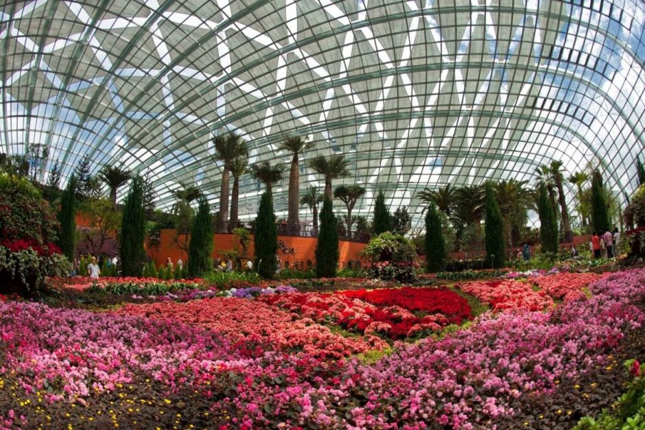 Ботанический сад ВДНХ оранжерея
