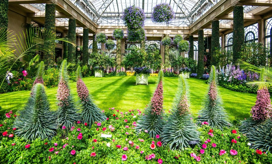 Павильон temperate Housе, Королевские Ботанические сады Кью, Лондон