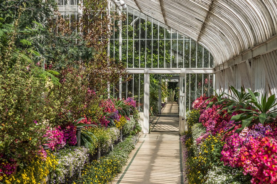 Сингапур, оранжерея 'Flower Dome'.