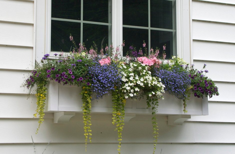 Цветочные композиции на балконе