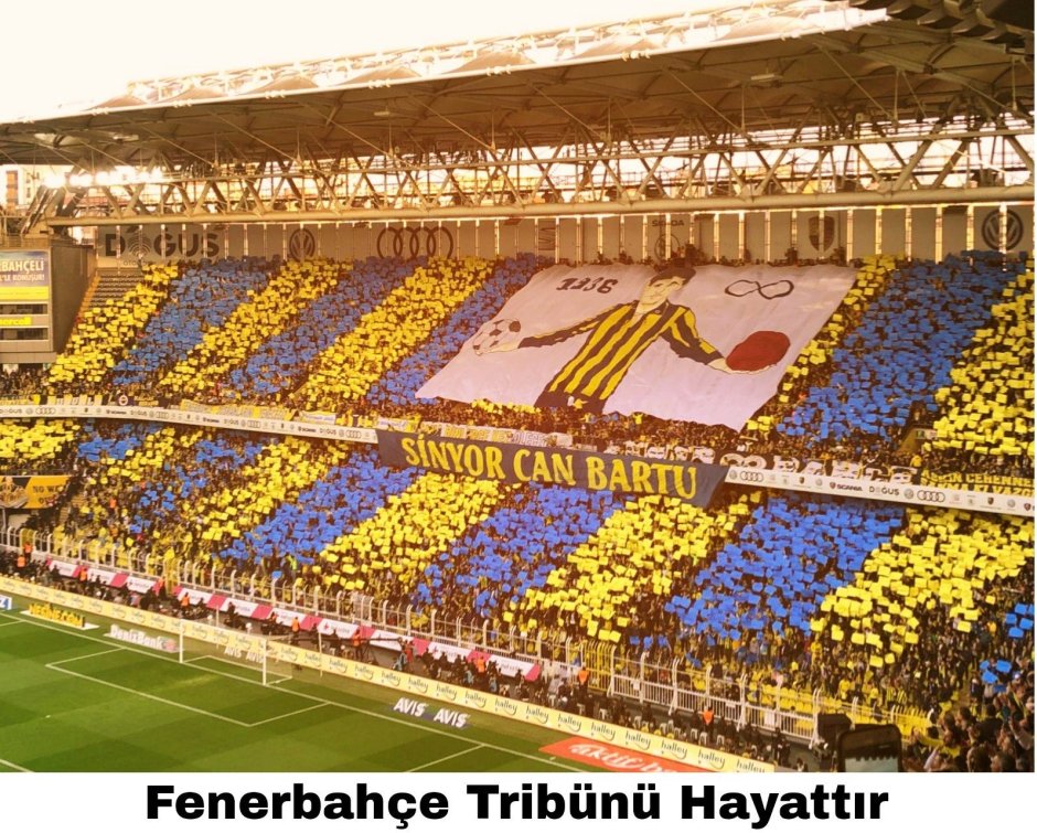 ФК Фенербахче