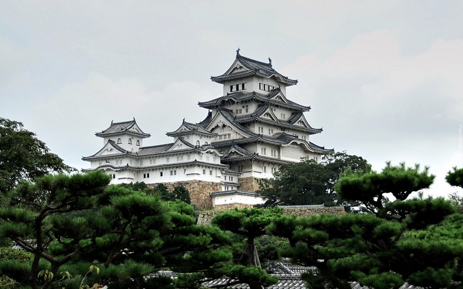 Как собрать пазл из 1000 деталей быстро Himeji Castle