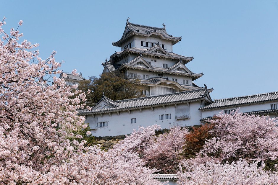 Япония замок Химэдзи резьба