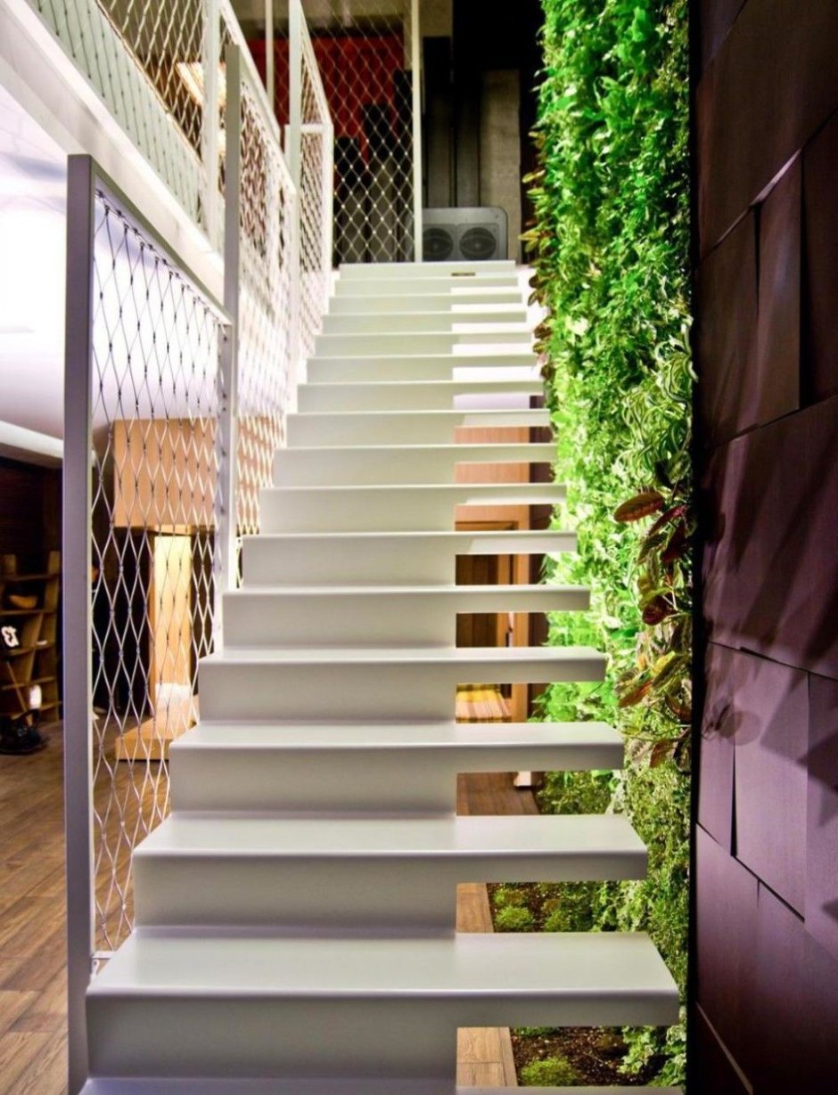 Озеленение лестницы