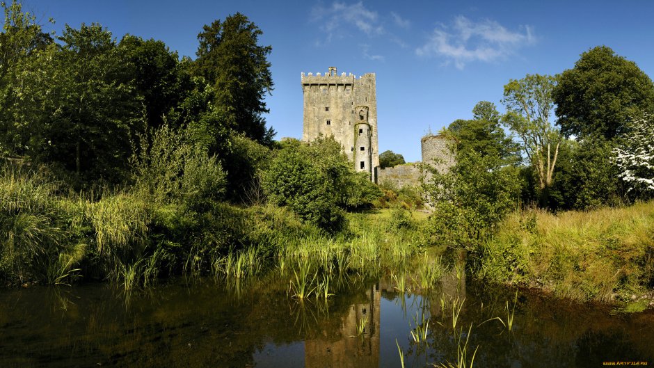 Blarney Castle Stone