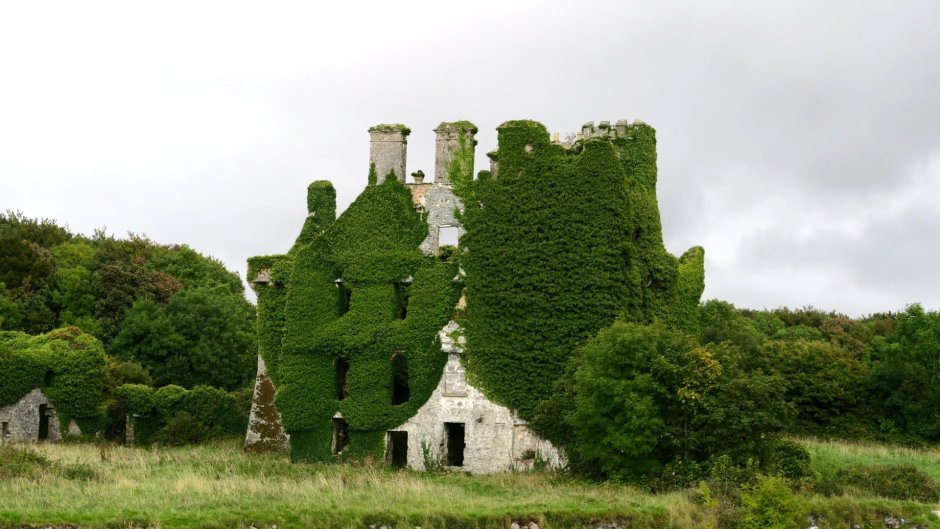 Замок Бларни Ирландия