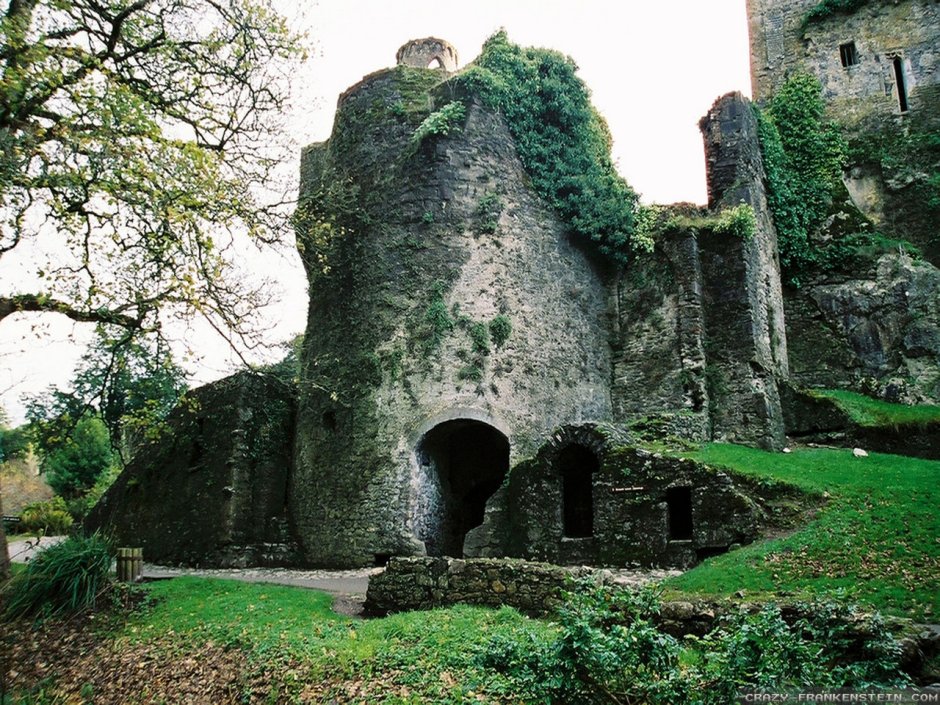 Замок Бларни