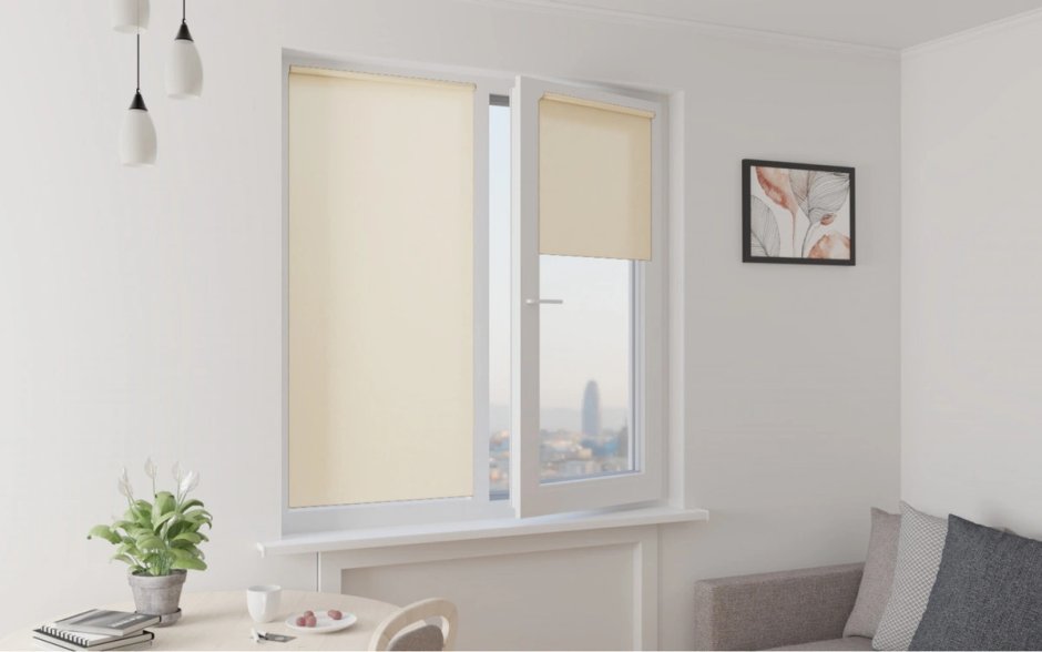 Шторы Window Blind роллы 120х200см