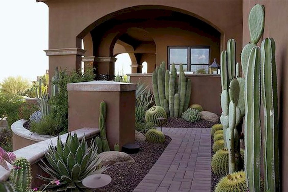 Сад в мексиканском стиле