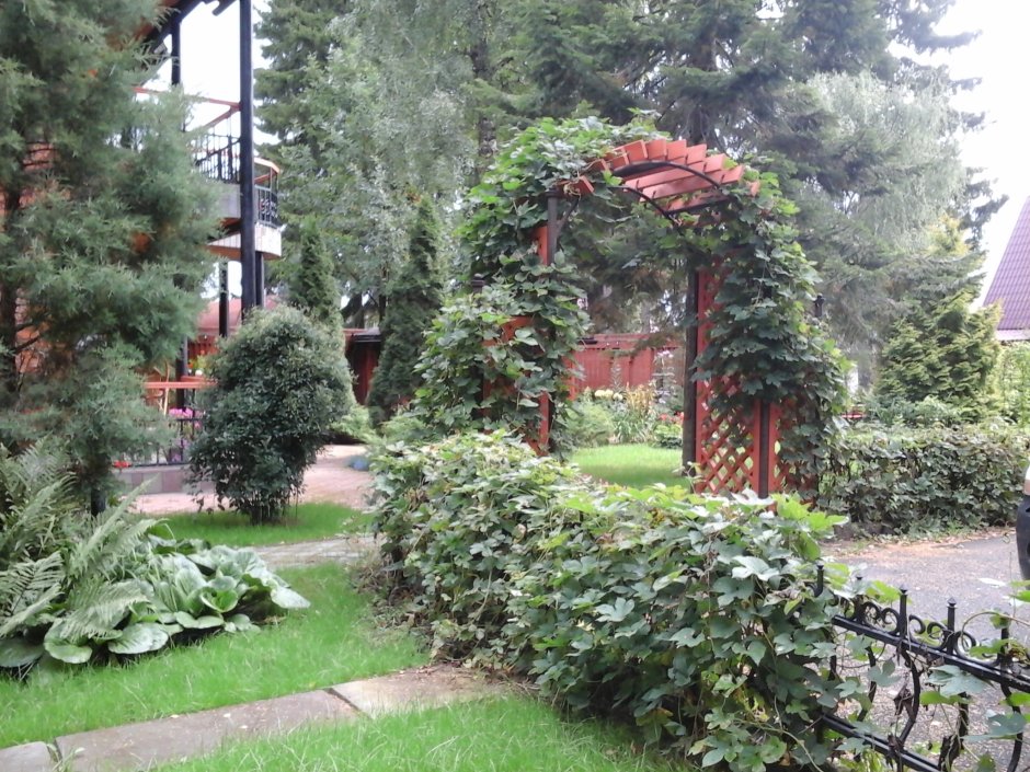 Садовая Виста