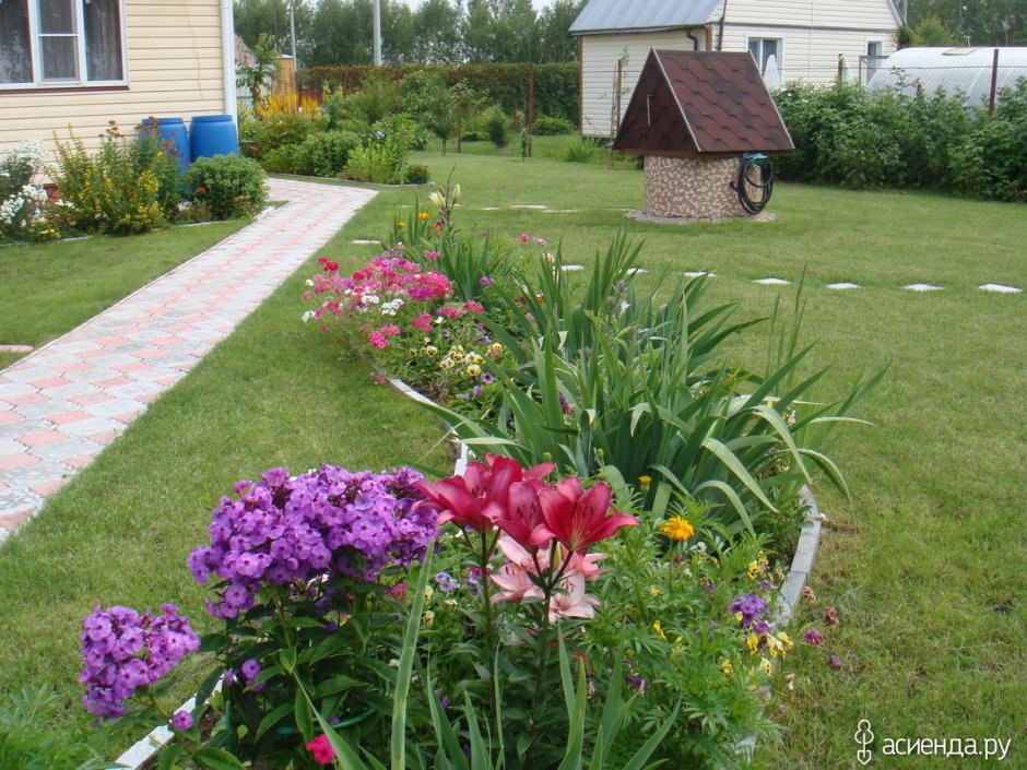Миксбордеры схемы посадок