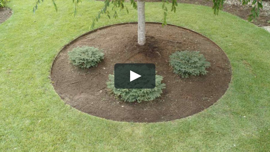 Бордюрная лента Park 256010