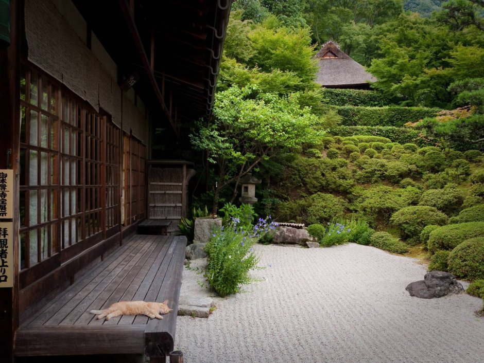 Сад Daizen-Ji Zen Rock, Киото, Япония