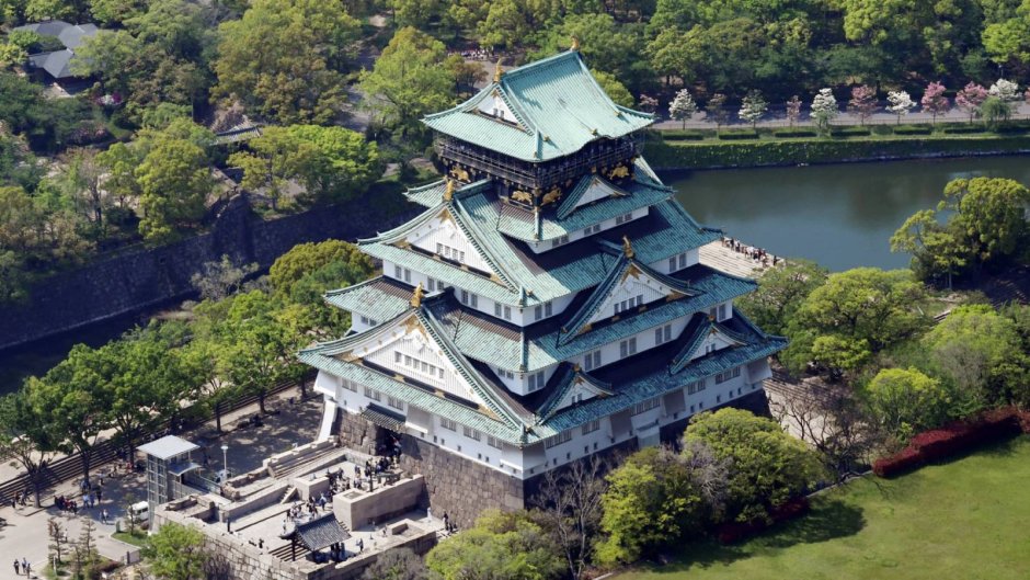Japanese Castles in Korea книга