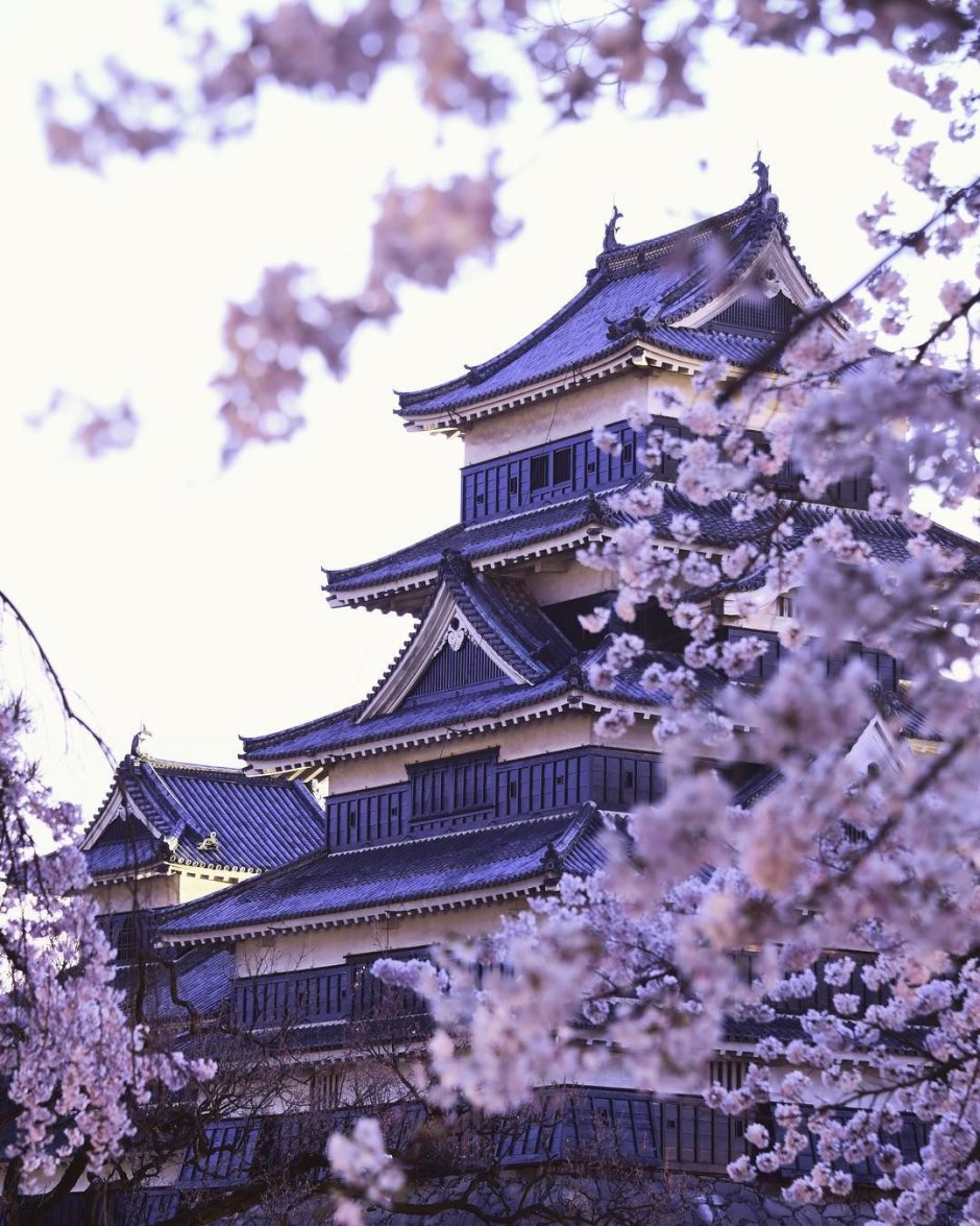 Замок Кумамото Япония Седзи