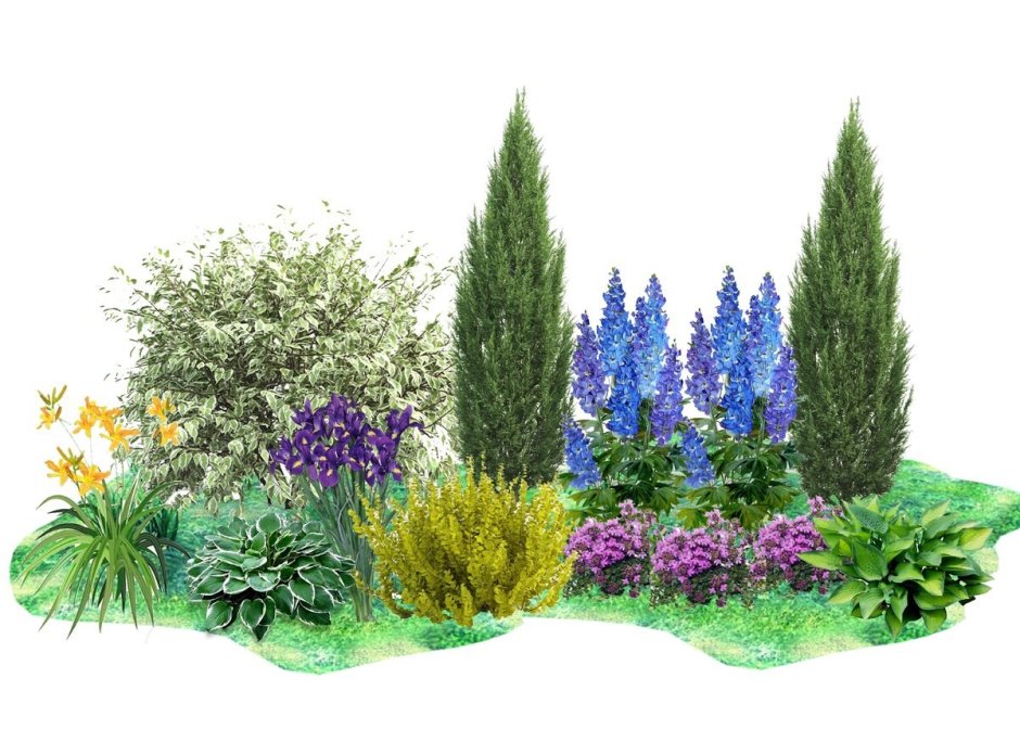 Волжанка китайская (Aruncus sinensis &#96;Zweiweltenkind&#96;)