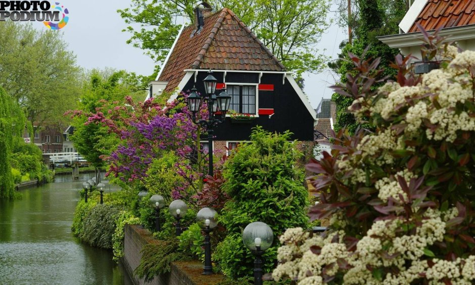 Голландский сад ландшафт