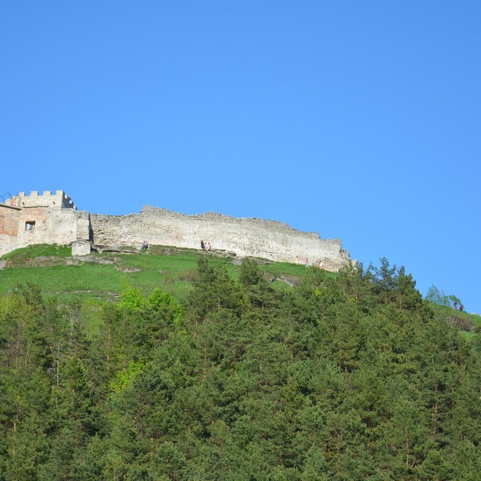 Кременецкий замок Кременец