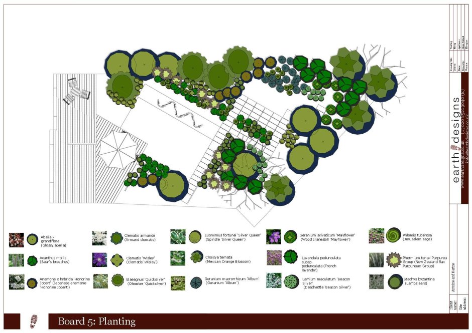Garden planting Plan