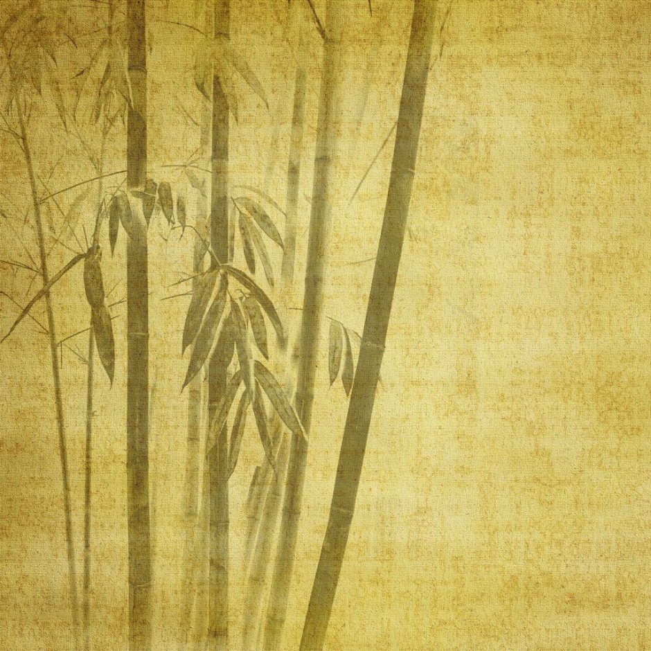 Бамбук на прозрачном фоне