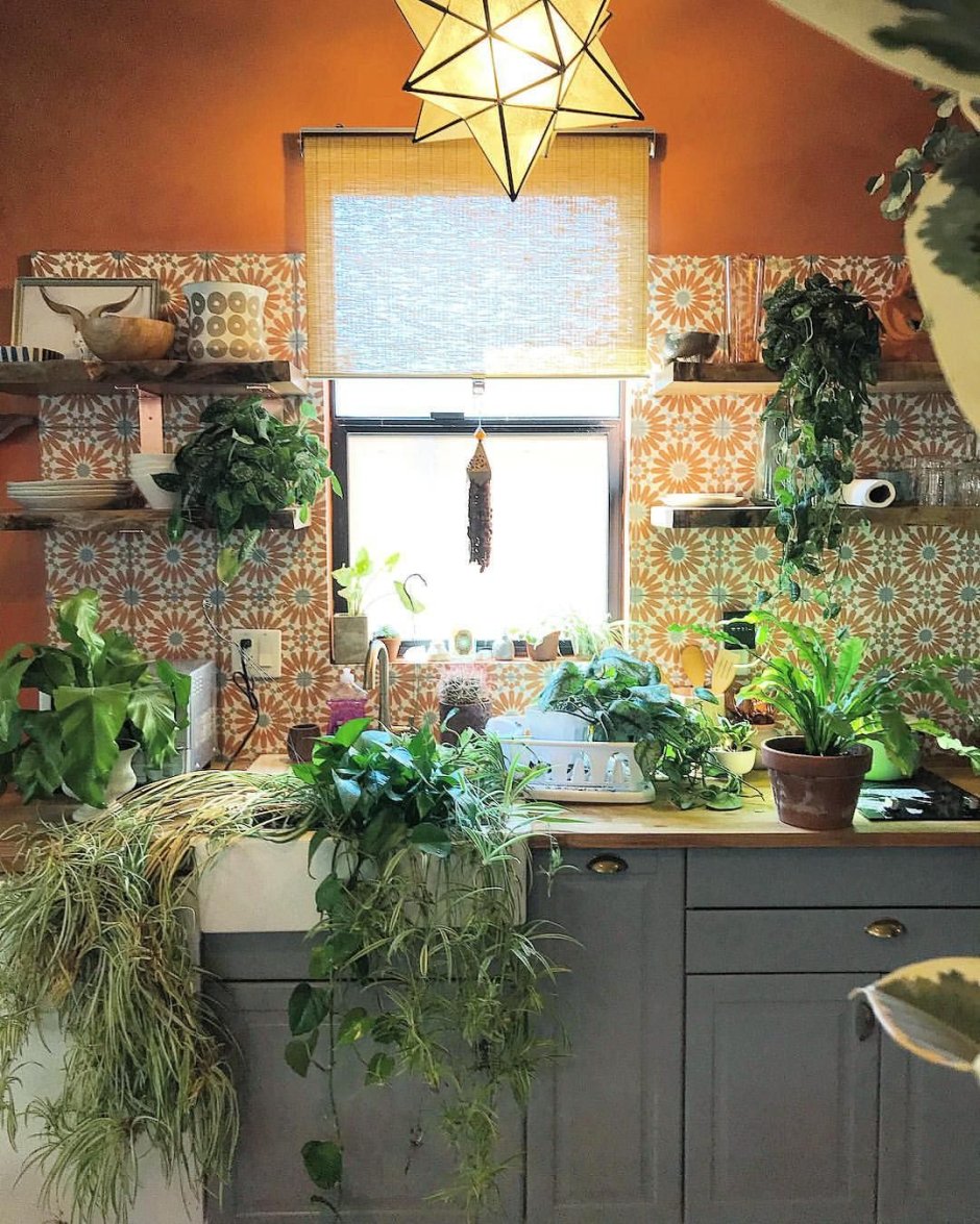 Уютная кухня с растениями