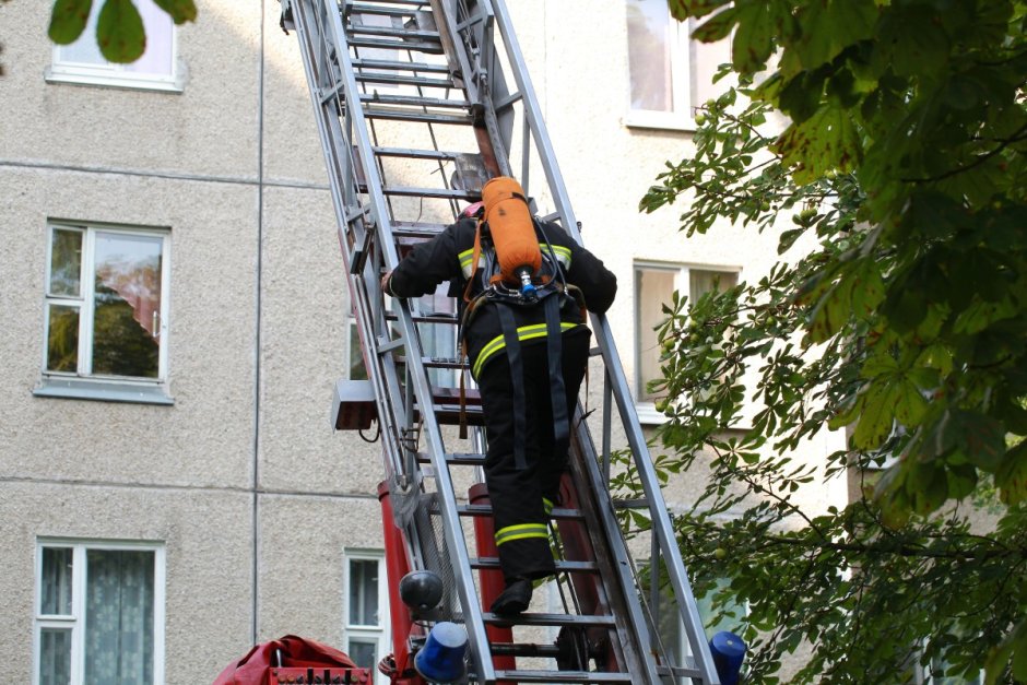 Выдвижная пожарная лестница
