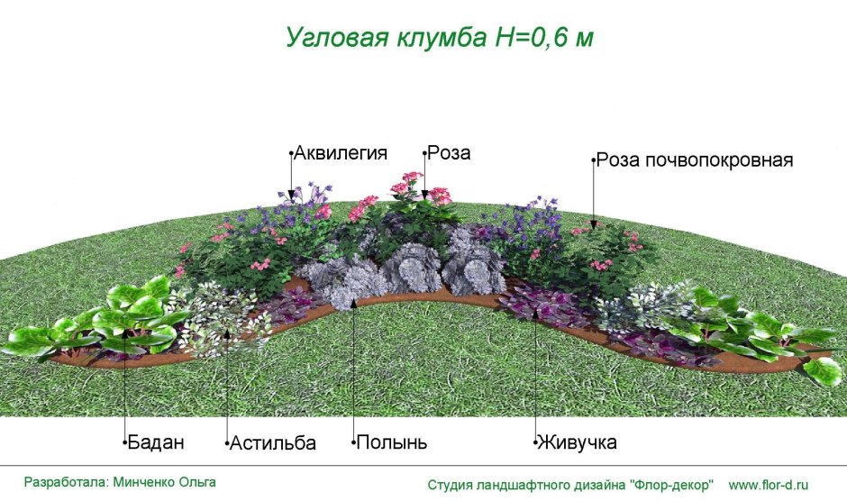 Миксбордер с розами схема посадки