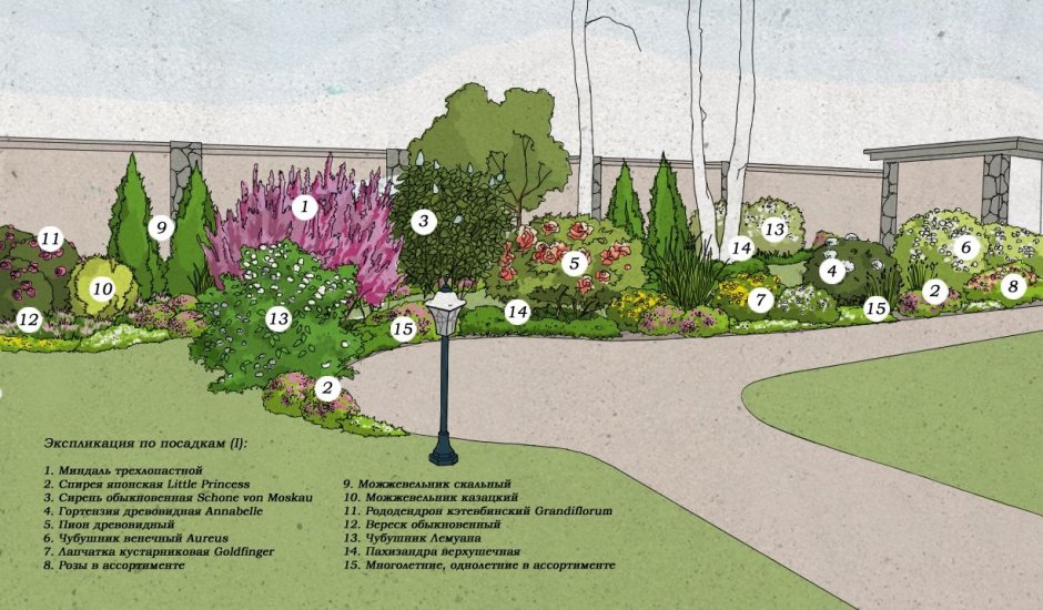 Миксбордер из хвойных и многолетников схемы