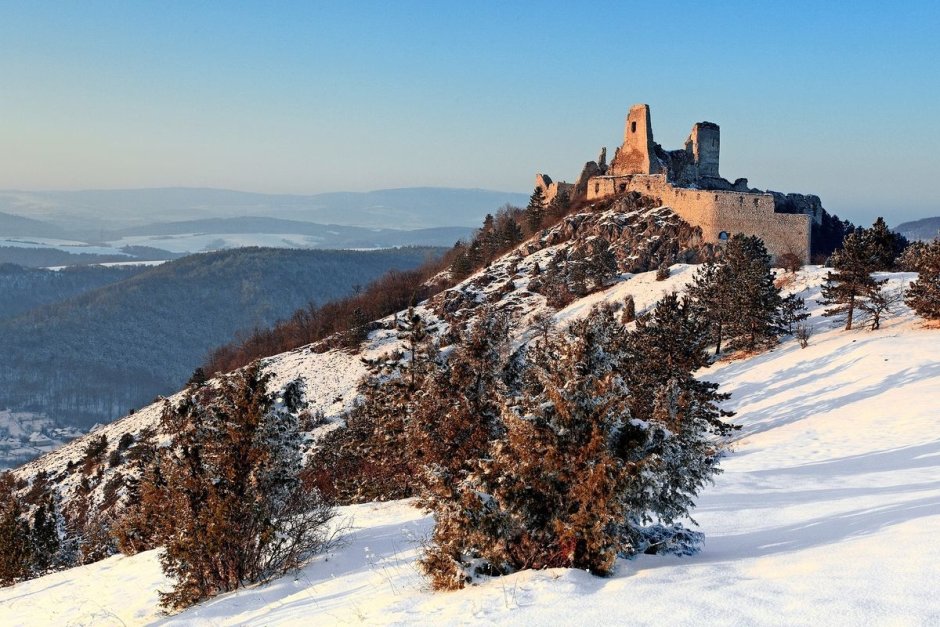 Замок Недзица Польша