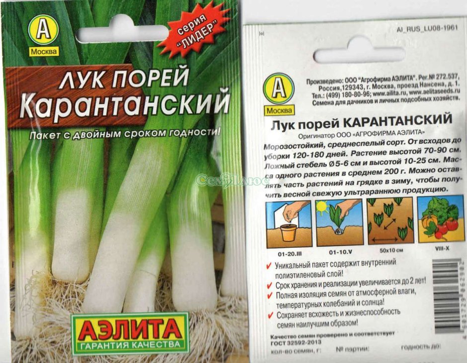 Уборка лука-порея в октябре