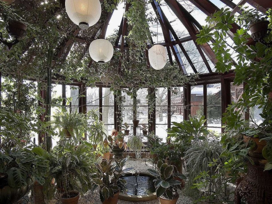 «Зимний сад» оранжерея Пэкстон