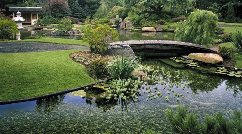 Японский сад с водоемом
