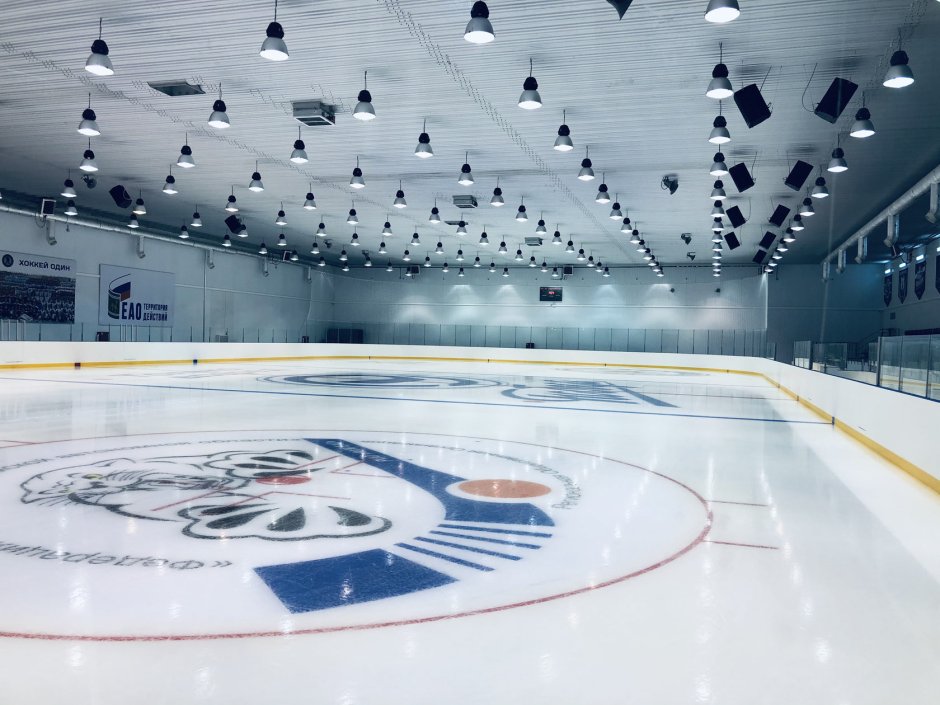 Проект ледовой арены