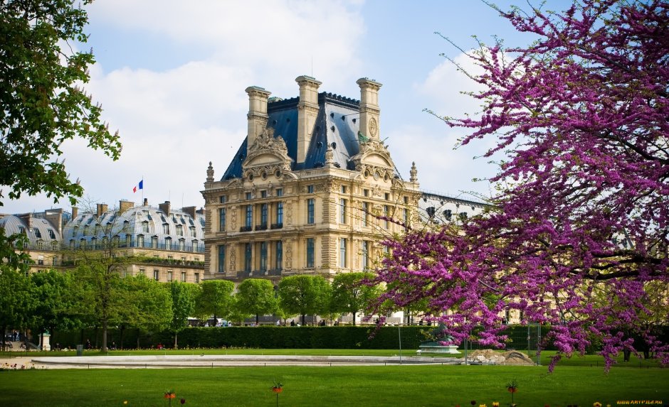 Королевский дворец Лувр план