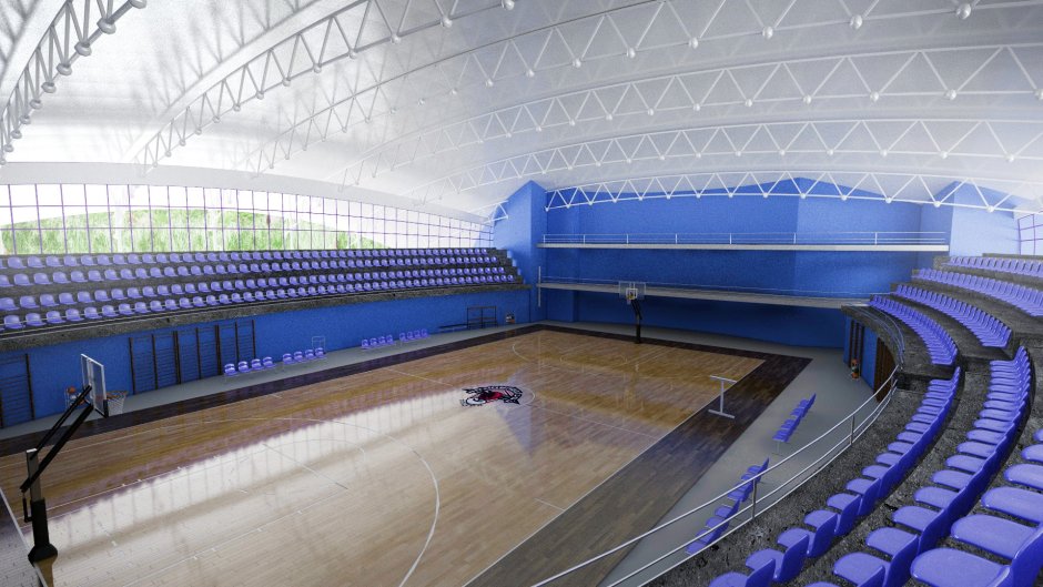 Адлер Арена баскетбольная площадка