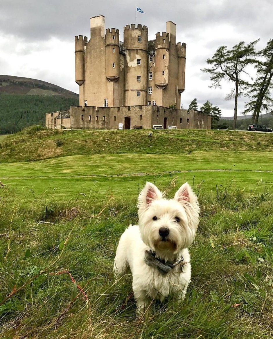 Замок абергелди Шотландия