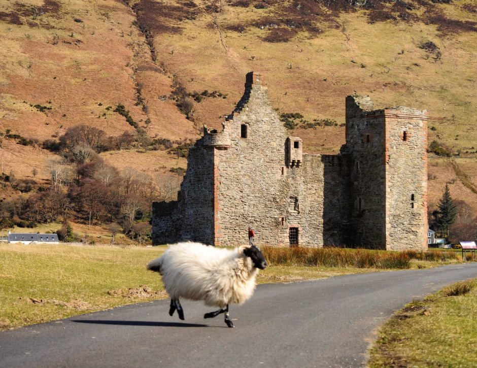 Балморал замок в Шотландии