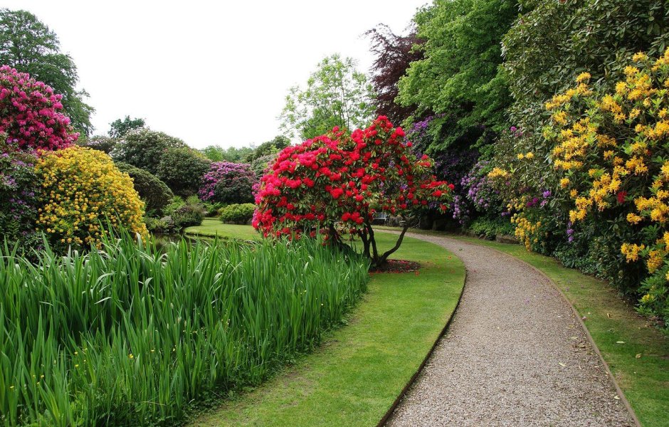 Англия парк Викторианский сад