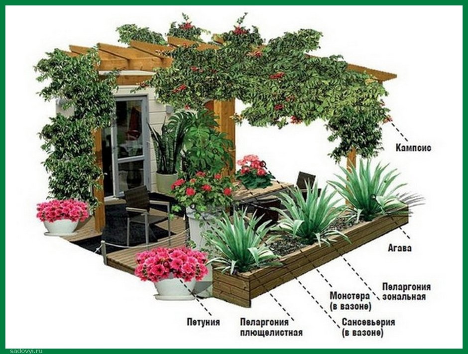 Планировка клумб в палисаднике