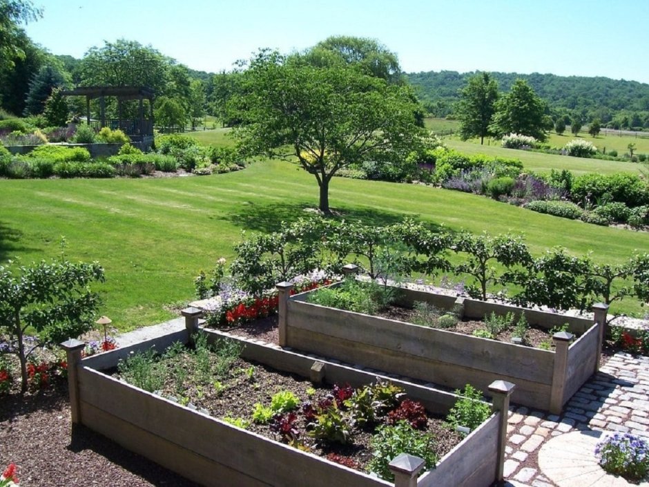 Ландшафт сада и огорода