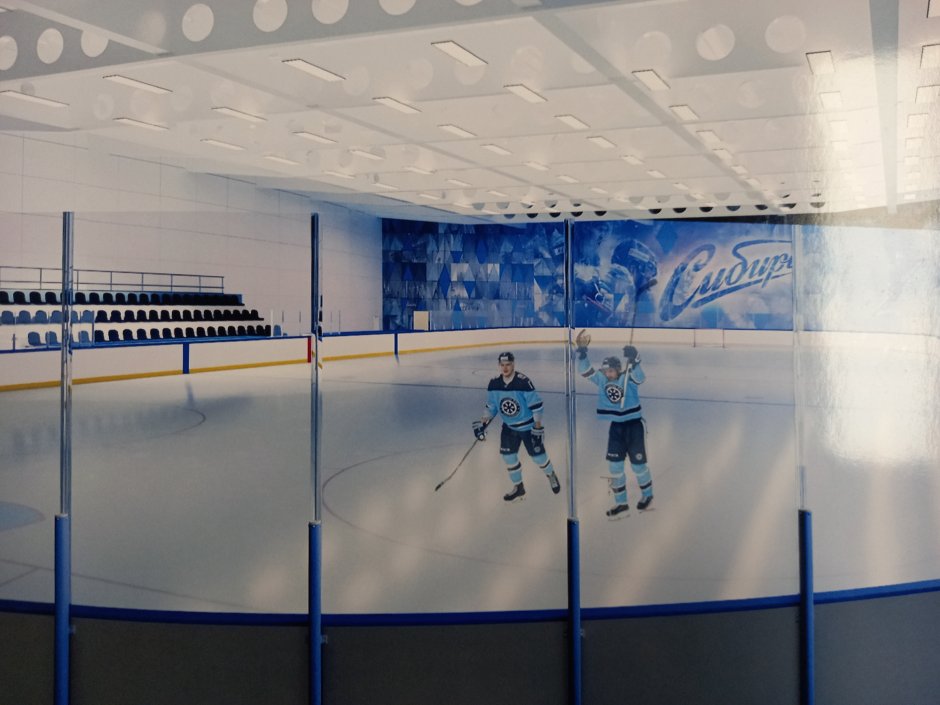 Динамо Минск стадион хоккей