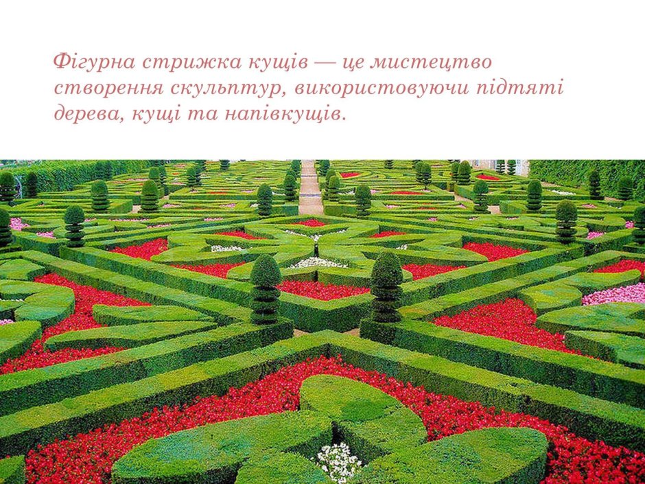 Ботанический сад Мадейры Мадейра