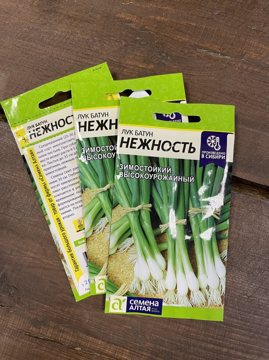 Лук батун апрельский